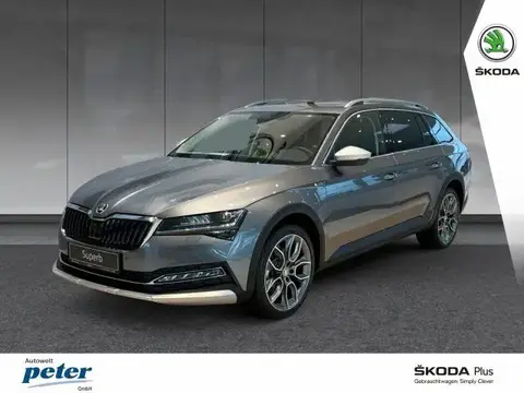 Annonce SKODA SUPERB Diesel 2024 d'occasion 