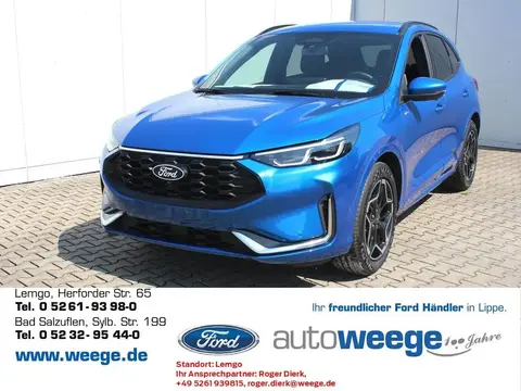 Used FORD KUGA Hybrid 2024 Ad 