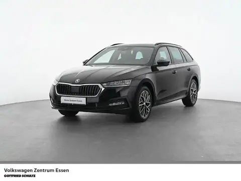 Used SKODA OCTAVIA Petrol 2023 Ad 