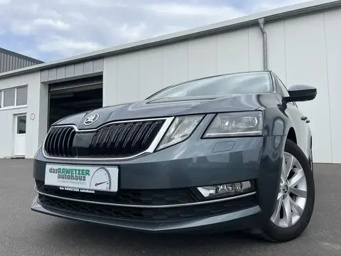 Annonce SKODA OCTAVIA Diesel 2019 d'occasion 