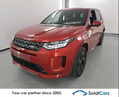 Used LAND ROVER DISCOVERY Diesel 2020 Ad Belgium