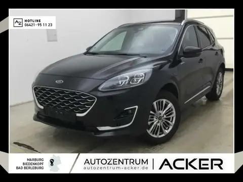 Used FORD KUGA Hybrid 2023 Ad 