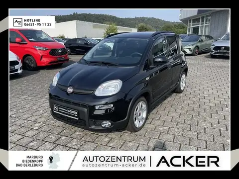 Annonce FIAT PANDA Essence 2024 d'occasion 