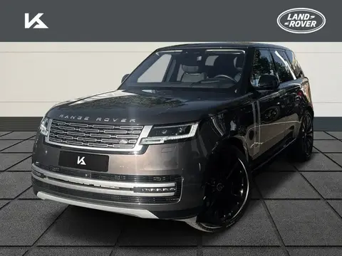 Used LAND ROVER RANGE ROVER Petrol 2022 Ad 