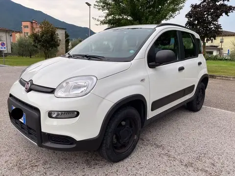 Annonce FIAT PANDA Essence 2019 d'occasion 