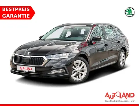 Annonce SKODA OCTAVIA Essence 2020 d'occasion 