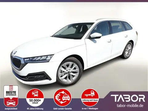 Annonce SKODA OCTAVIA Essence 2024 d'occasion 