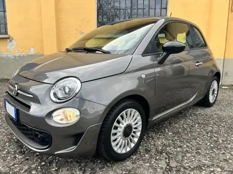 Used FIAT 500 Petrol 2021 Ad 