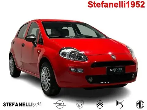 Used FIAT PUNTO Petrol 2018 Ad 