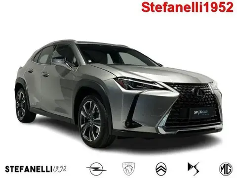 Used LEXUS UX Hybrid 2019 Ad 