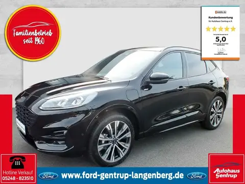 Used FORD KUGA Hybrid 2023 Ad 