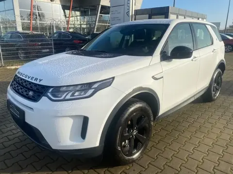 Used LAND ROVER DISCOVERY Petrol 2020 Ad 