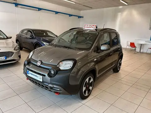 Used FIAT PANDA Hybrid 2023 Ad 