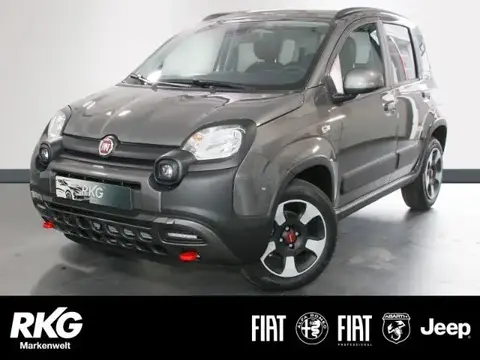 Annonce FIAT PANDA Essence 2024 d'occasion 