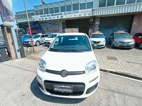 Used FIAT PANDA Petrol 2020 Ad 