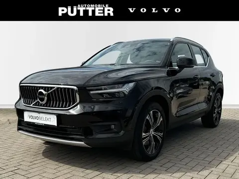 Used VOLVO XC40 Hybrid 2021 Ad 