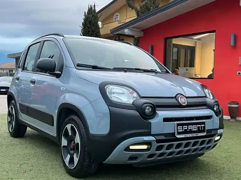 Used FIAT PANDA Hybrid 2021 Ad 