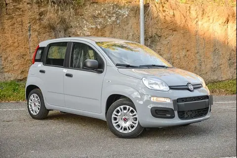 Annonce FIAT PANDA Hybride 2022 d'occasion 