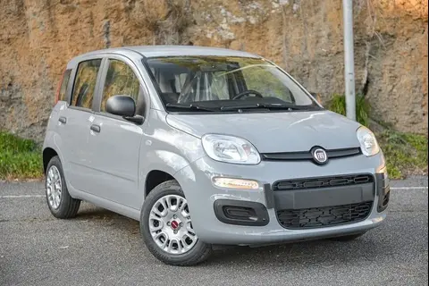 Used FIAT PANDA Hybrid 2022 Ad 