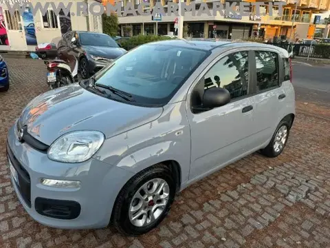 Used FIAT PANDA Hybrid 2021 Ad 