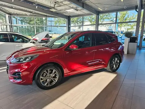 Annonce FORD KUGA Hybride 2020 d'occasion 