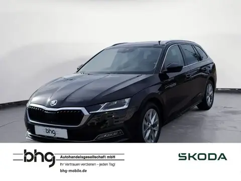 Annonce SKODA OCTAVIA Diesel 2023 d'occasion 