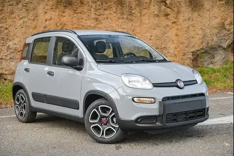 Used FIAT PANDA Hybrid 2022 Ad 