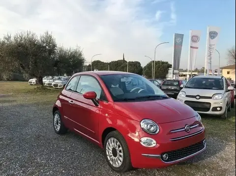 Used FIAT 500 Petrol 2019 Ad 