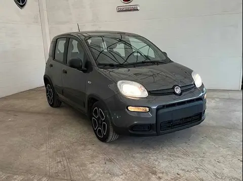 Annonce FIAT PANDA Hybride 2022 d'occasion 