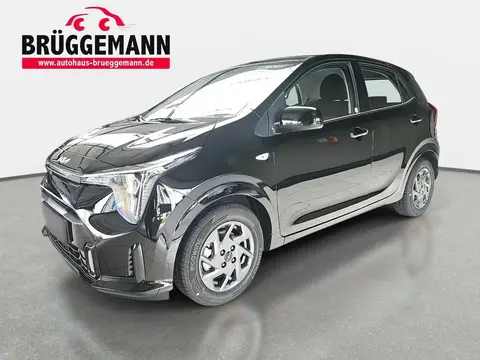 Annonce KIA PICANTO Essence 2024 d'occasion 