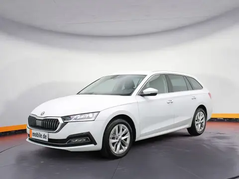 Annonce SKODA OCTAVIA Diesel 2023 d'occasion 