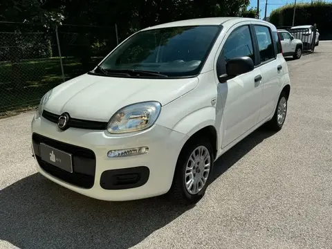 Used FIAT PANDA Petrol 2019 Ad 