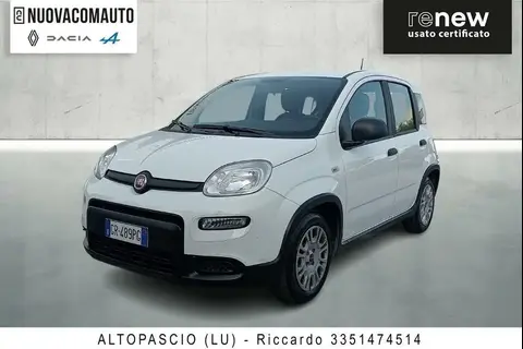 Used FIAT PANDA Hybrid 2023 Ad 