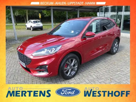 Used FORD KUGA Hybrid 2023 Ad 