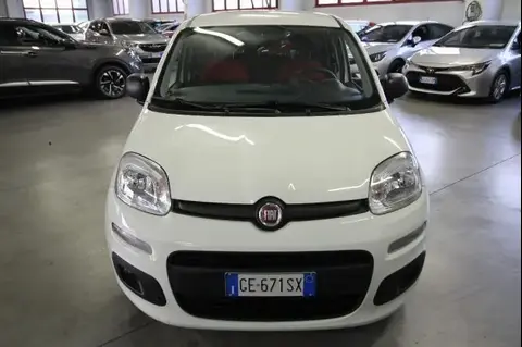 Used FIAT PANDA Hybrid 2021 Ad 