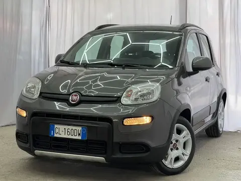 Used FIAT PANDA Hybrid 2022 Ad 