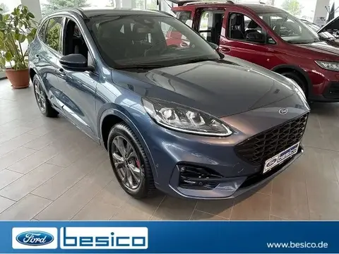 Annonce FORD KUGA Hybride 2024 d'occasion 