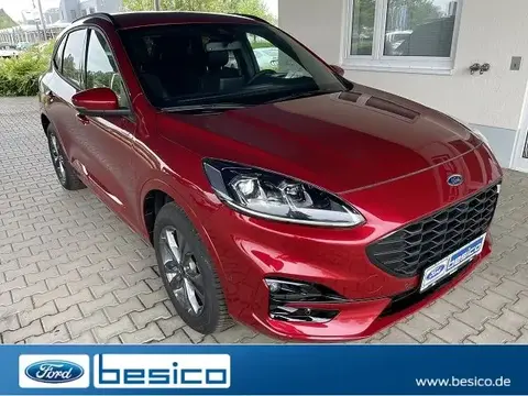 Used FORD KUGA Hybrid 2024 Ad 