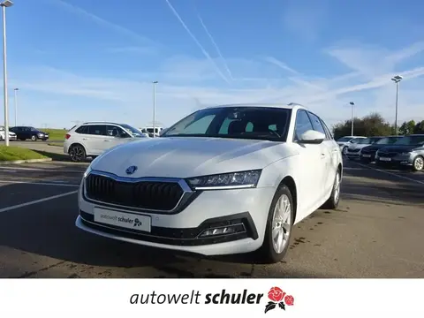 Used SKODA OCTAVIA Petrol 2021 Ad 