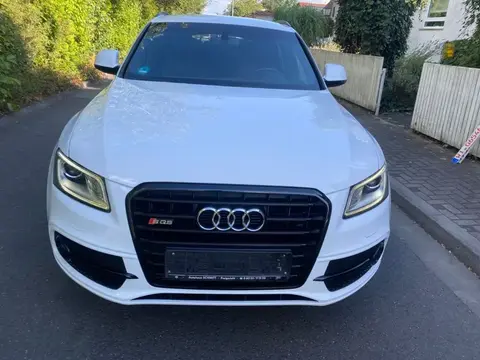 Used AUDI SQ5 Diesel 2016 Ad 