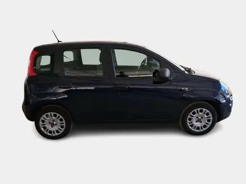 Used FIAT PANDA Hybrid 2021 Ad 