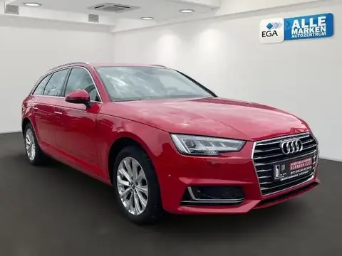 Annonce AUDI A4  2019 d'occasion 