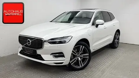 Used VOLVO XC60 Hybrid 2021 Ad 