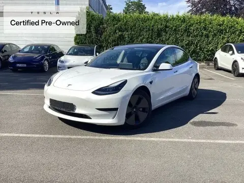 Used TESLA MODEL 3 Not specified 2021 Ad 