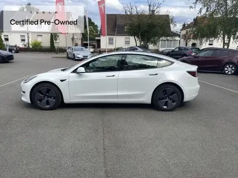 Used TESLA MODEL 3 Not specified 2021 Ad 