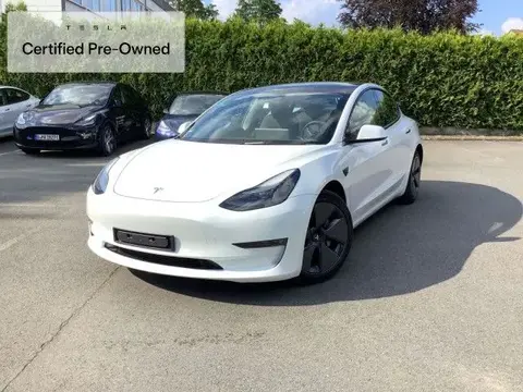 Used TESLA MODEL 3 Not specified 2021 Ad 