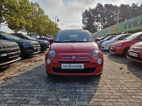 Used FIAT 500 Petrol 2023 Ad 