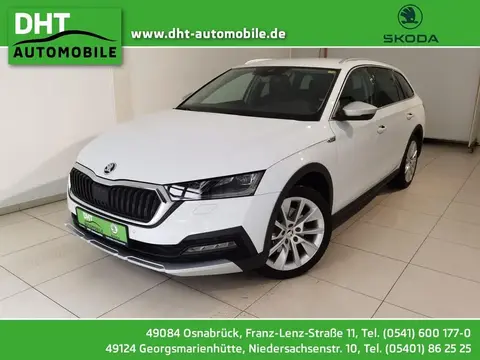 Annonce SKODA OCTAVIA Diesel 2021 d'occasion 