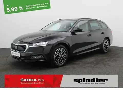 Used SKODA OCTAVIA Diesel 2021 Ad 