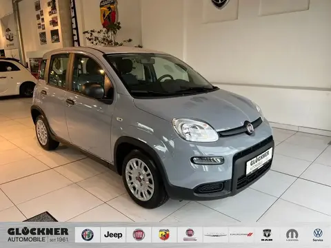 Used FIAT PANDA Petrol 2023 Ad 